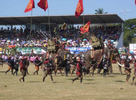 Elephants in War Game mode at Surin parade grounds